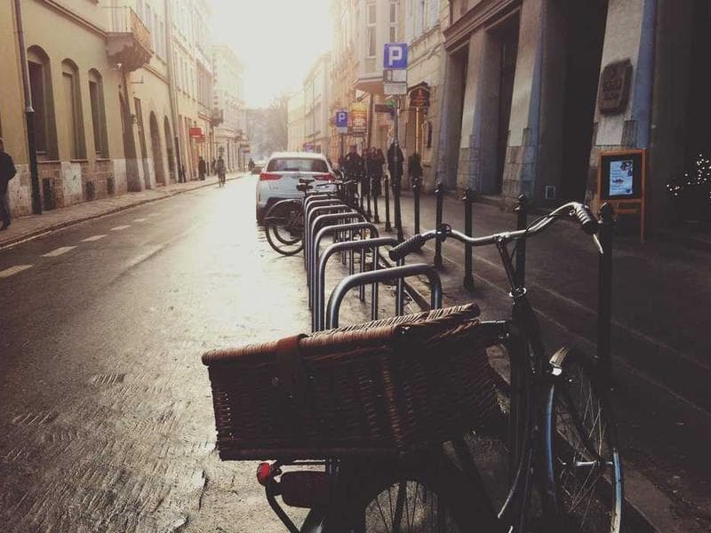 Data-Driven Decisions: How to Use Analytics to Grow